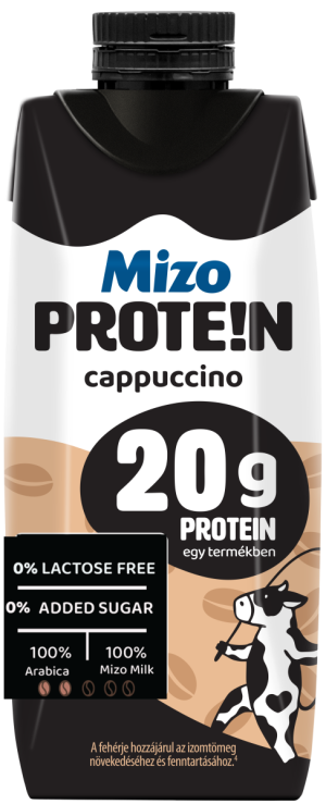 MIZO HIPRO COFFEE CU AROMĂ DE CAPPUCINO 250ML